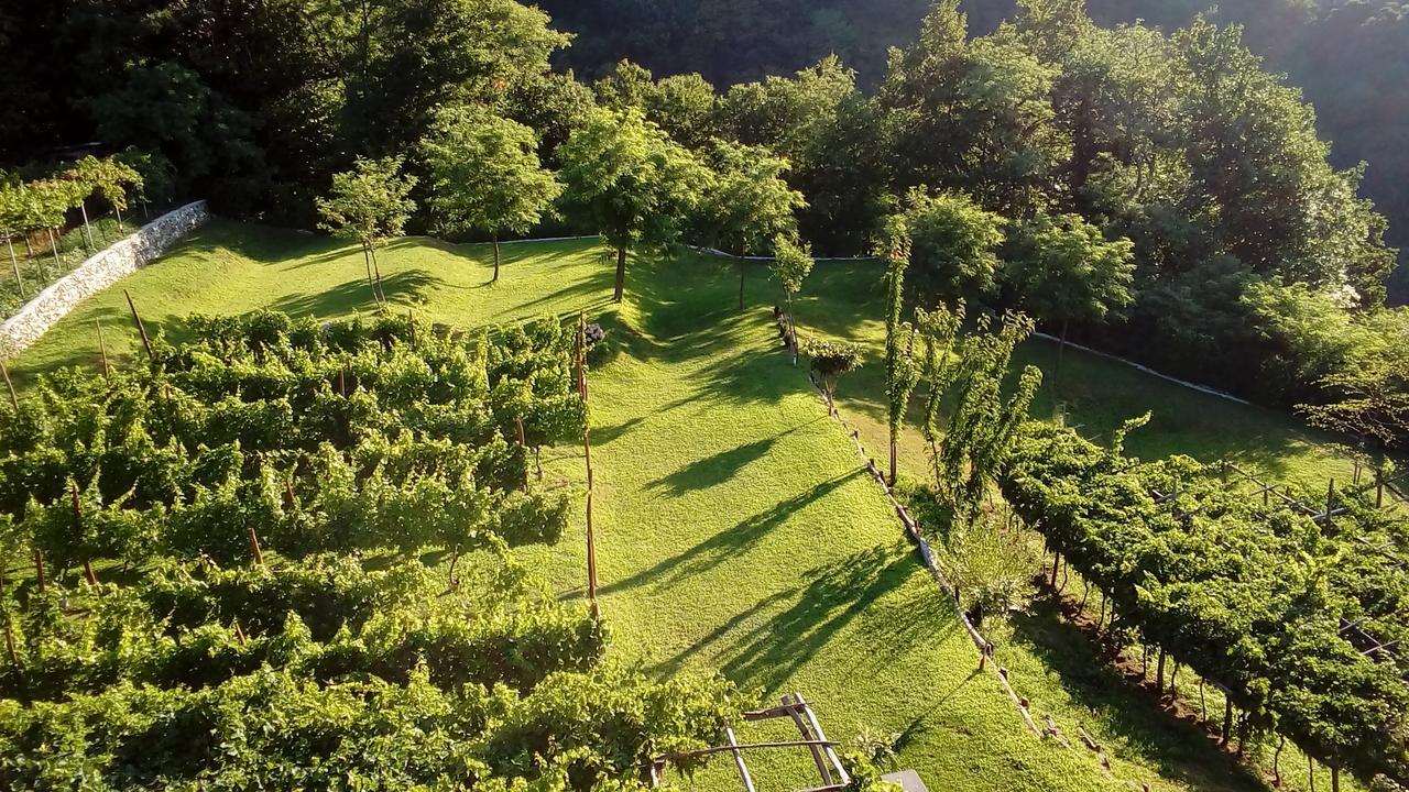 Camping Colle Vento Otel Domaso Dış mekan fotoğraf